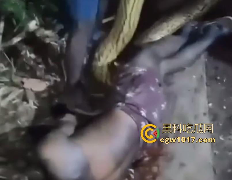 印度醉汉被巨蟒缠绕绞杀,骨骼咔咔断裂脸黑如炭,俩亲兄弟把蟒蛇抬走说喝点恒河水能活,这都黑了还能救?