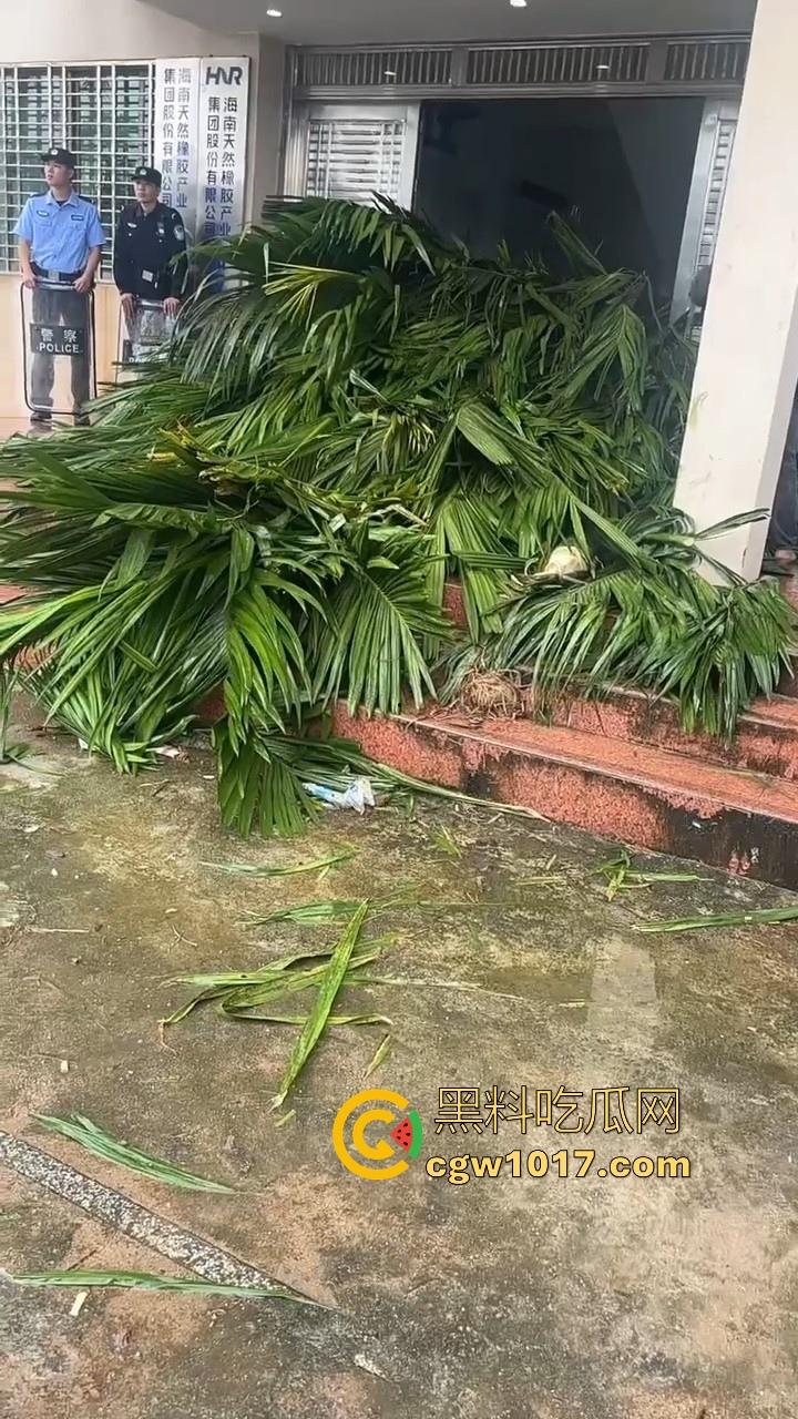 海南琼中爆发大规模群体抗争!因海南天然橡胶产业集团偷砍农民的槟榔田爆发,现场的农民们情绪机动!