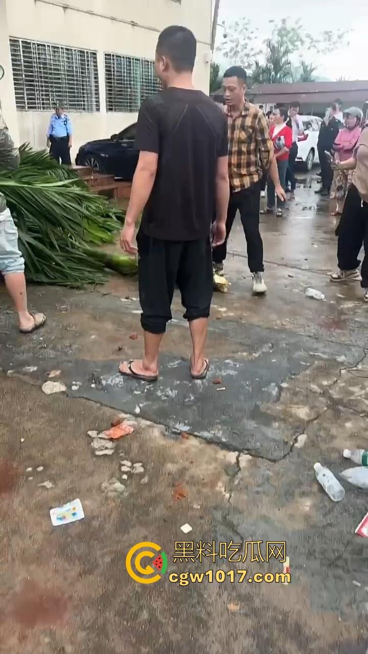 海南琼中爆发大规模群体抗争!因海南天然橡胶产业集团偷砍农民的槟榔田爆发,现场的农民们情绪机动!