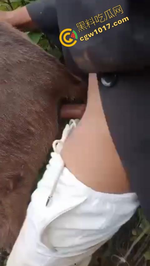 劲爆!国外男子大战骡子私拍震惊网络!阳光下奋力抽插,骡子吃草欢声不断,男子大屌进出嫩穴,友人拍摄更添刺激!