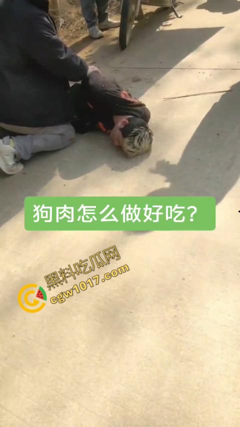 广西村民抓住偷狗贼,脱光殴打,场面血腥凶残,围观村民挥棒狂殴,男子惨嚎不断,村民誓要为爱犬复仇!