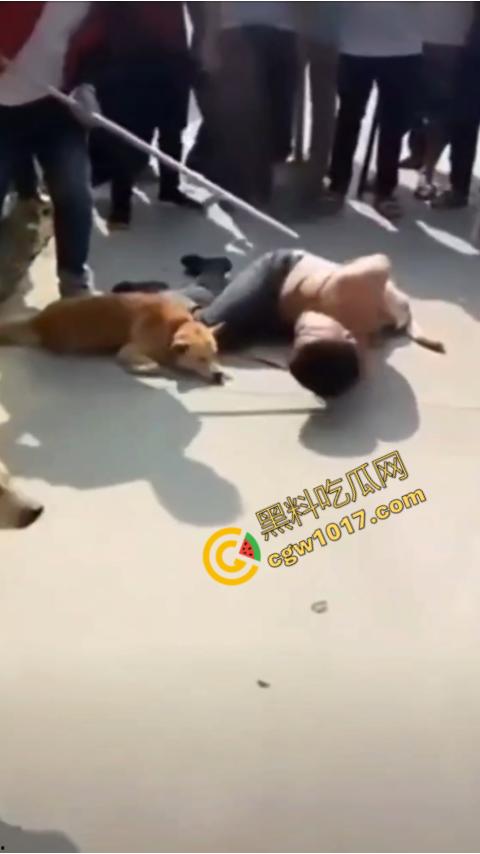 广西村民抓住偷狗贼,脱光殴打,场面血腥凶残,围观村民挥棒狂殴,男子惨嚎不断,村民誓要为爱犬复仇!