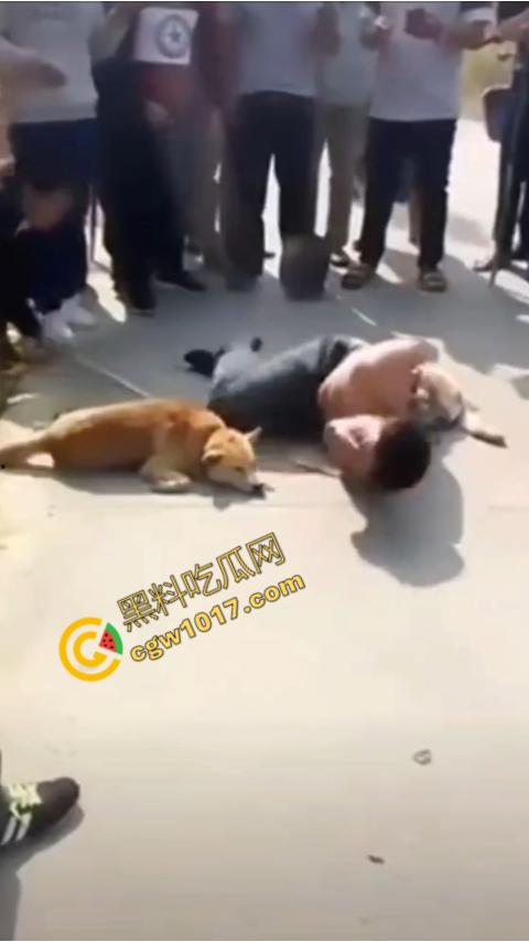 广西村民抓住偷狗贼,脱光殴打,场面血腥凶残,围观村民挥棒狂殴,男子惨嚎不断,村民誓要为爱犬复仇!