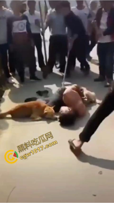 广西村民抓住偷狗贼,脱光殴打,场面血腥凶残,围观村民挥棒狂殴,男子惨嚎不断,村民誓要为爱犬复仇!