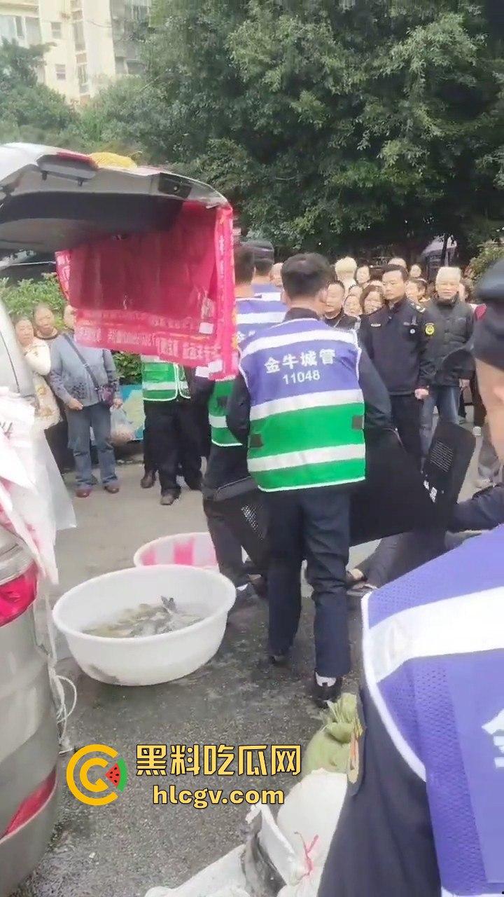 卖鱼商贩与城管爆发冲突!剪刀挥舞,两名城管被推倒,金牛区城管局称现场混乱不堪!