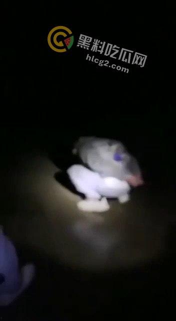 缅甸KK园区猪仔被打视频曝光,珍爱生命远离诈骗!