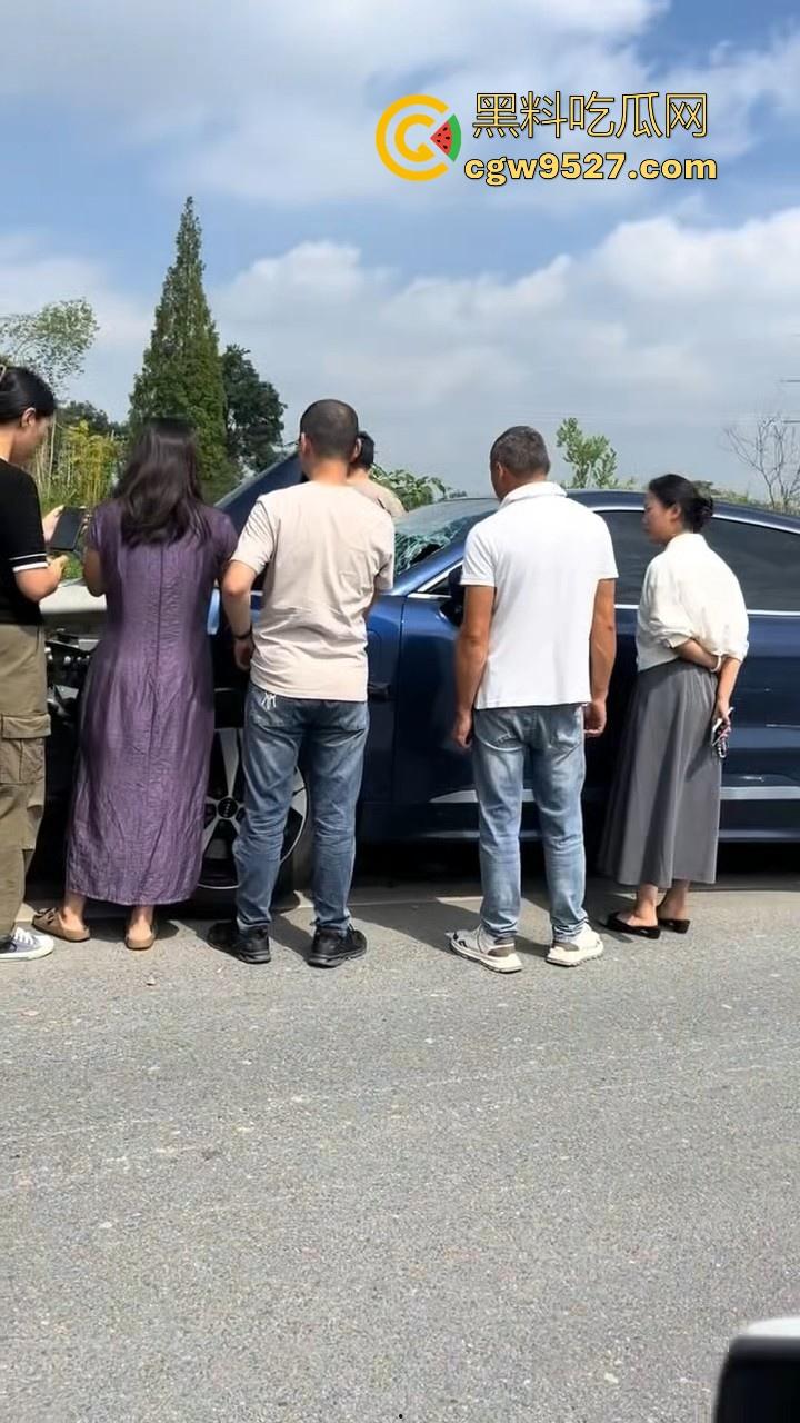 成都极氪撞护拦事故，严重的交通事故安全气囊居然没有弹出来，完全失去自救的机会，买极氪的朋友要注意啦！