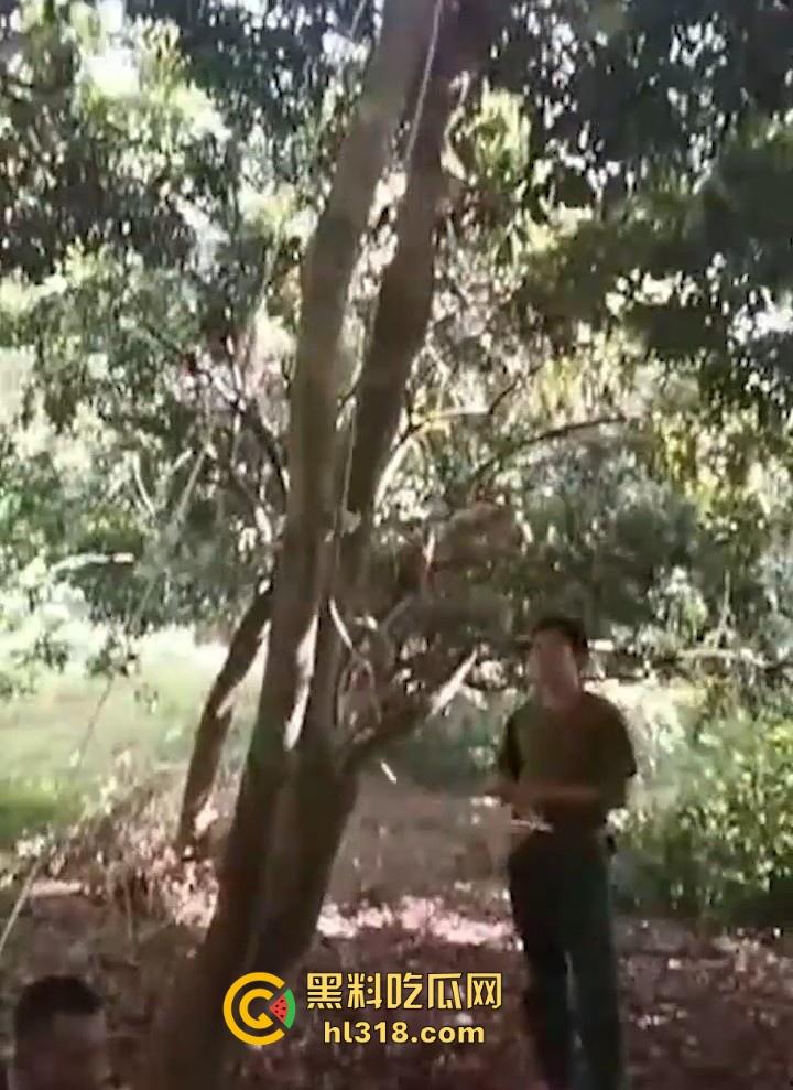 禽兽父强奸亲生女儿!导致女儿怀孕,村民愤怒自发替天行道,吊打禽兽生父,这种人就该打死!
