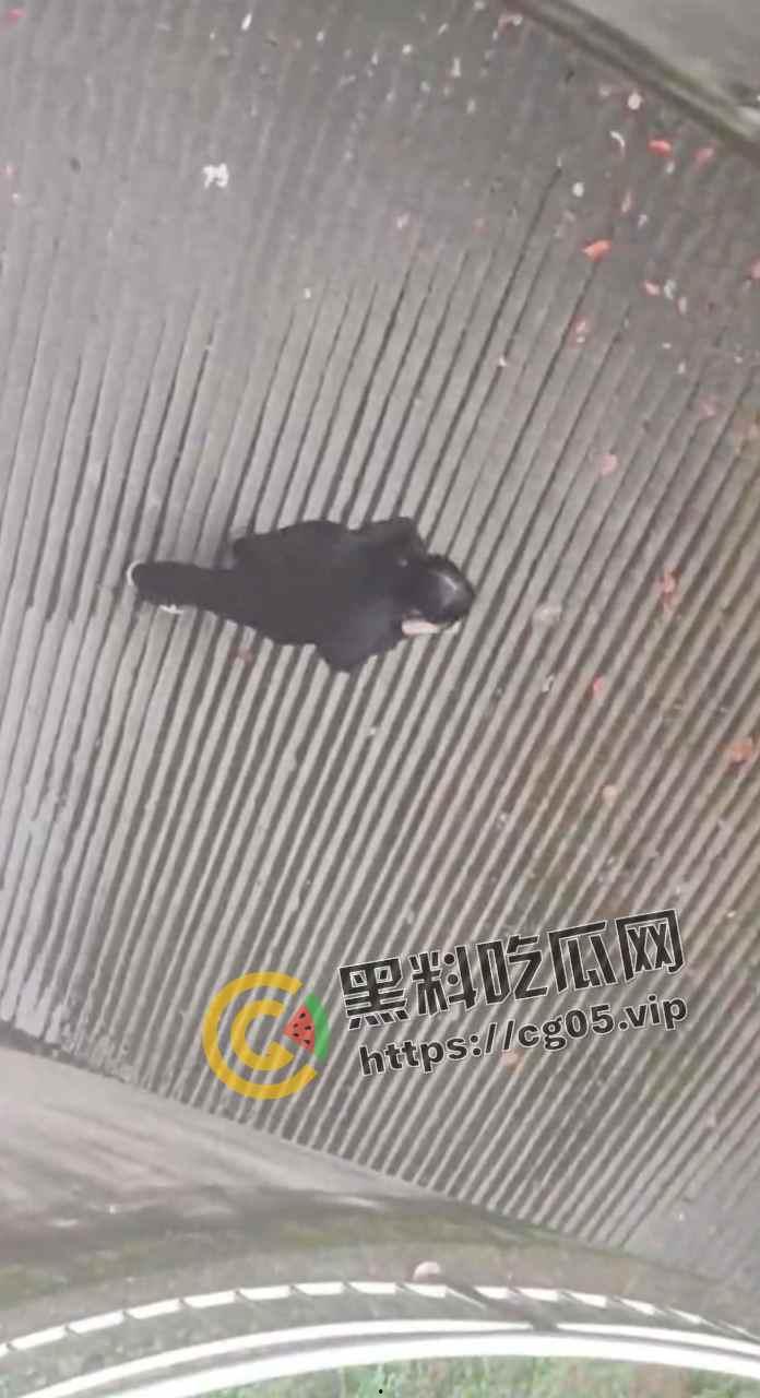 马鞍山职业技术学院 小情侣大白天就在女生宿舍楼下打野战 旺盛的荷尔蒙按耐不住