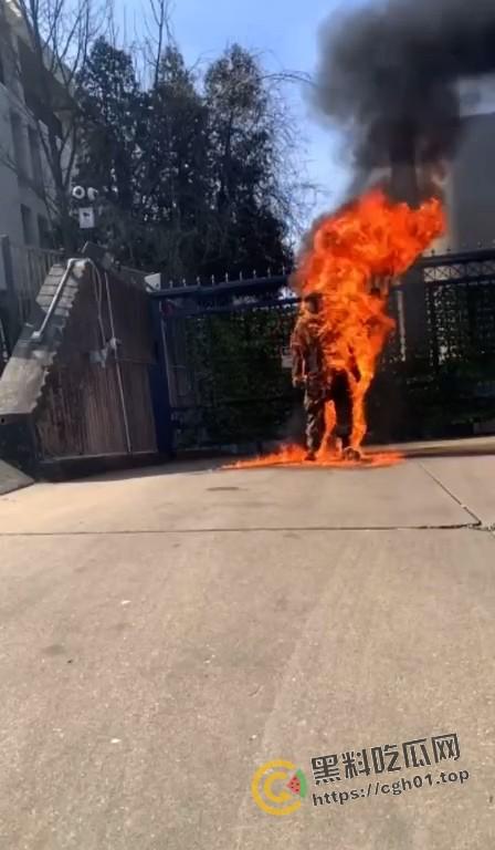 美国空军在以色列大使馆前自焚!临死前高呼不做种族灭绝的同谋 是英雄还是极端分子?