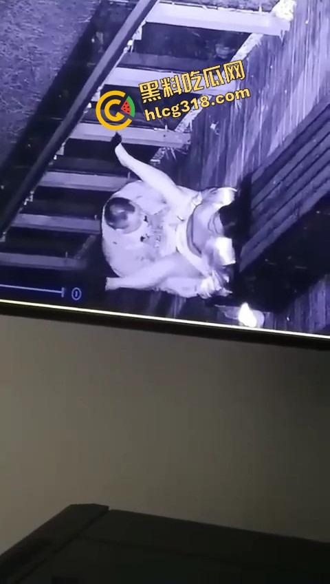 杭州公园长椅野战全程被监控拍下,两人全程激烈拉伸还换姿势,保安看回放笑抽了,上夜班果然有福利!