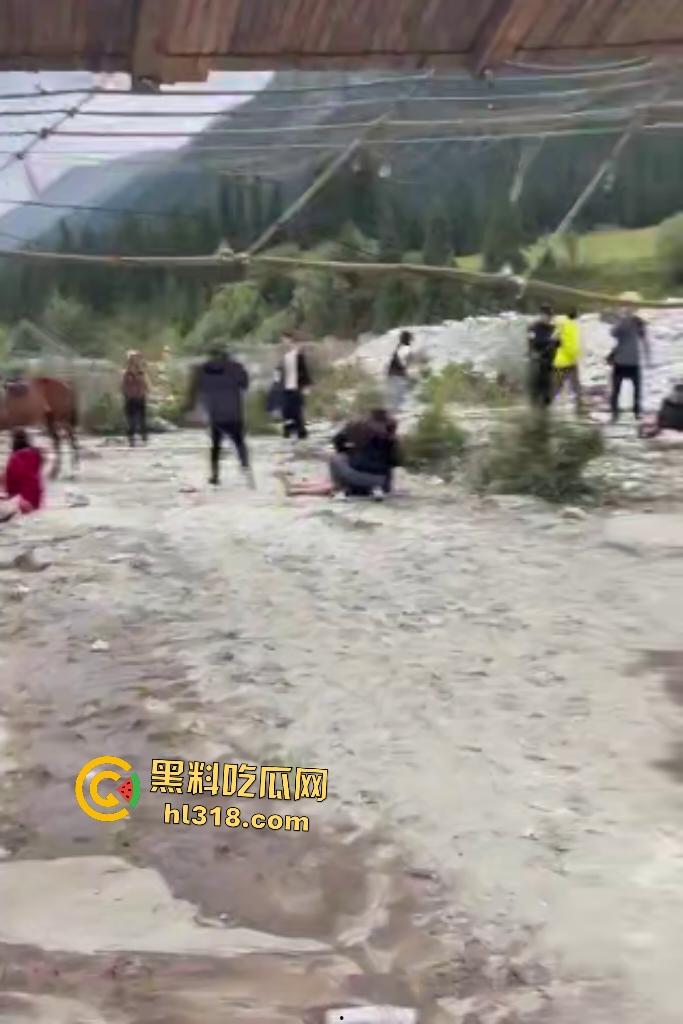 新疆伊犁昭苏县夏塔景区吊桥断裂29人滑落5死22伤,桥虽不高但下面就是激流的河水,直接能摔死!