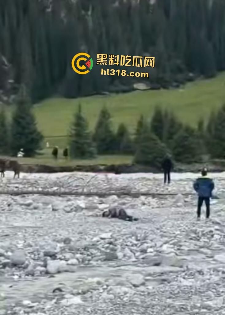 新疆伊犁昭苏县夏塔景区吊桥断裂29人滑落5死22伤,桥虽不高但下面就是激流的河水,直接能摔死!